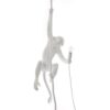 Seletti-Lighting-Monkey-Lamp-Ceiling-Lamp-Indoor-14883-1-500x500-1.jpg