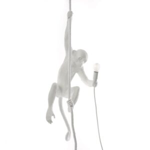 Suspension Monkey