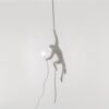 Seletti-Lighting-Monkey-Lamp-Ceiling-Lamp-Indoor-14883-10-500x500-1.jpg