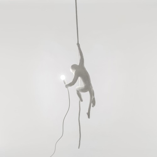 Seletti-Lighting-Monkey-Lamp-Ceiling-Lamp-Indoor-14883-10-500x500-1.jpg