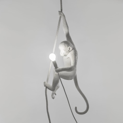 Seletti-Lighting-Monkey-Lamp-Ceiling-Lamp-Indoor-14883-5-500x500-1.jpg