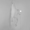 Seletti-Lighting-Monkey-Lamp-Hanging-Lamp-Indoor-14881-3-500x500-1.jpg