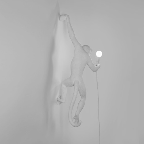 Seletti-Lighting-Monkey-Lamp-Hanging-Lamp-Indoor-14881-3-500x500-1.jpg