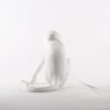 Seletti-Lighting-Monkey-Lamp-Sitting-Lamp-Indoor-14882-10-500x500-1.jpg