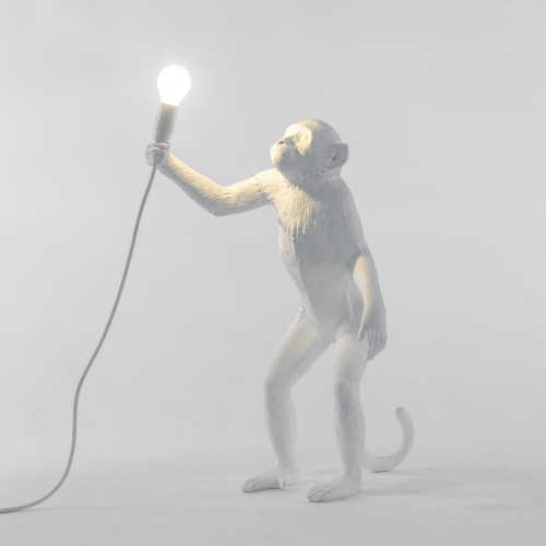 Seletti-Lighting-Monkey-Lamp-standing-Lamp-Indoor-14880-1-500x500-1.jpg