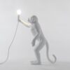 Seletti-Lighting-Monkey-Lamp-standing-Lamp-Indoor-14880-4-500x500-1.jpg