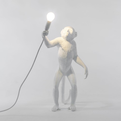 Seletti-Lighting-Monkey-Lamp-standing-Lamp-Indoor-14880-5-500x500-1.jpg