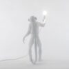 Seletti-Lighting-Monkey-Lamp-standing-Lamp-Indoor-14880-8-500x500-1.jpg