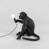 Seletti-Lighting-MonkeyLamps-Black-14922-3-500x500-1.jpg