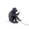 Seletti-Lighting-MonkeyLamps-Black-14922-5-500x500-1.jpg