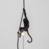 Seletti-Lighting-MonkeyLamps-Black-14923-2-500x500-1.jpg