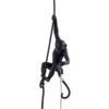 Seletti-Lighting-MonkeyLamps-Black-14923-4-500x500-1.jpg