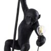 Seletti-Lighting-MonkeyLamps-Black-14923-9-500x500-1.jpg