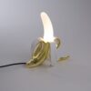 Seletti-Lighting-Studio_job-Banana_Lamp-13082-2-500x500-1.jpg