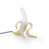 Seletti-Lighting-Studio_job-Banana_Lamp-13082-4-500x500-1.jpg