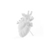 Seletti-Marcantonio-Hear-Vase-Love-love_in_bloom-09920-500x500-1.jpg
