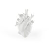 Seletti-Marcantonio-Hear-Vase-Love-love_in_bloom-099203-500x500-1.jpg