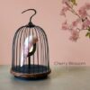 enceinte-oiseau-bluetooth-jingoo.jpg