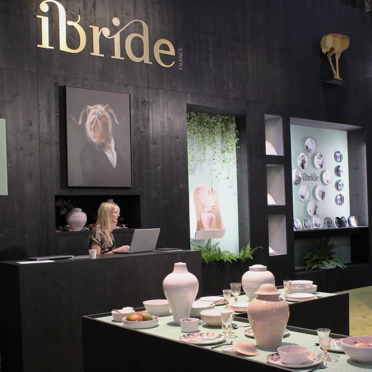 ibride img