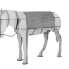 image0cc5.png