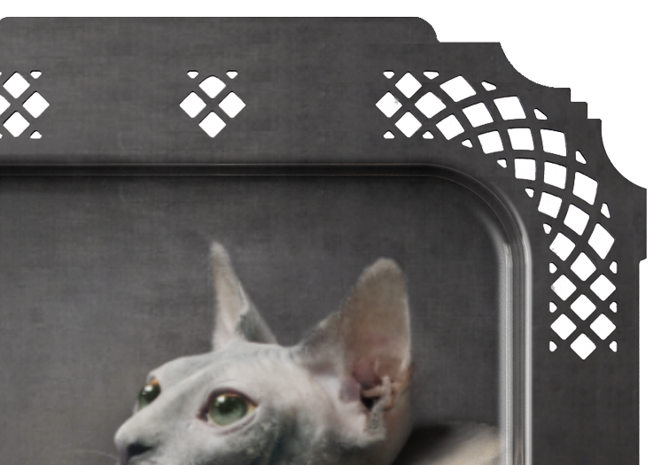 image1525-1.png
