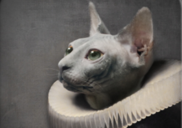 image1525.png