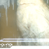 image1ea8.png