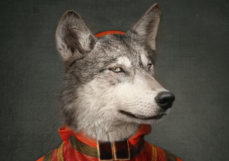 image2084-2.png