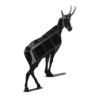 image3512.png