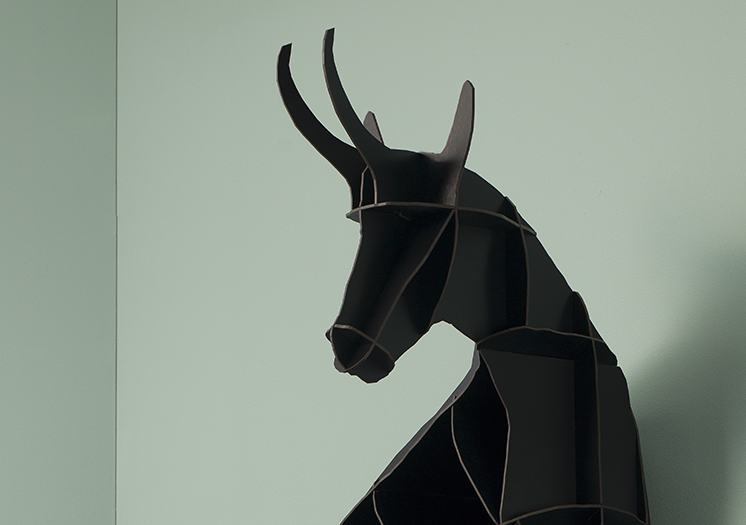 image3512-2.png