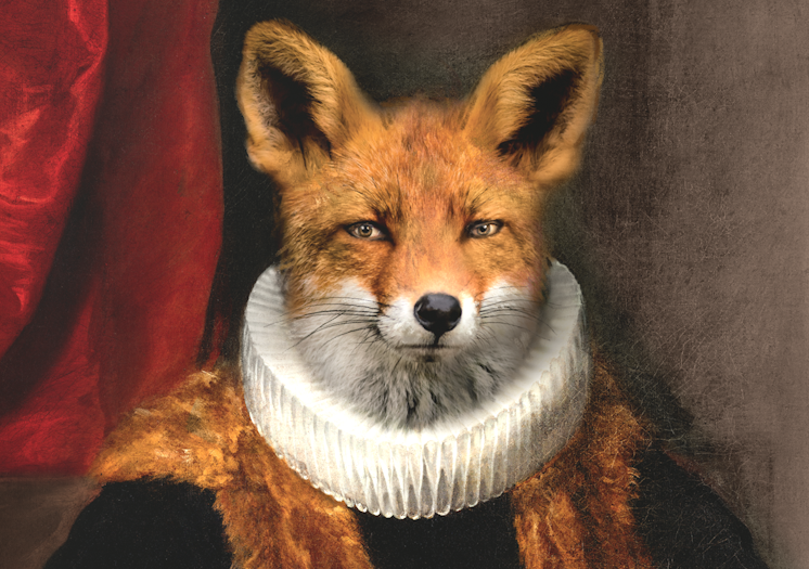 image3c2d-1.png