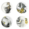 image42e6.png