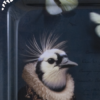 image4c53.png