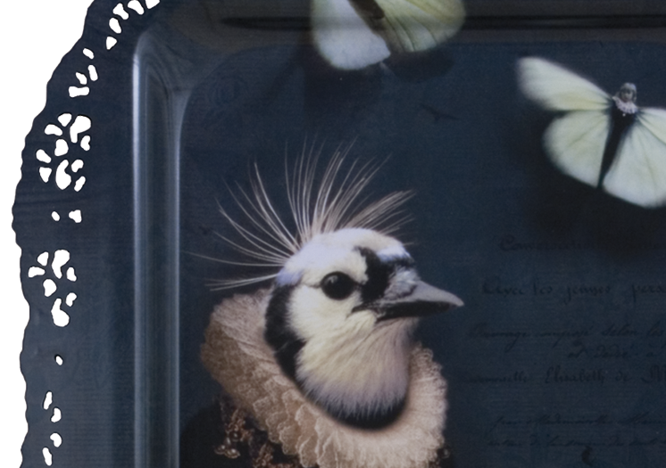 image4c53.png