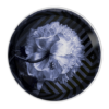 image502e.png