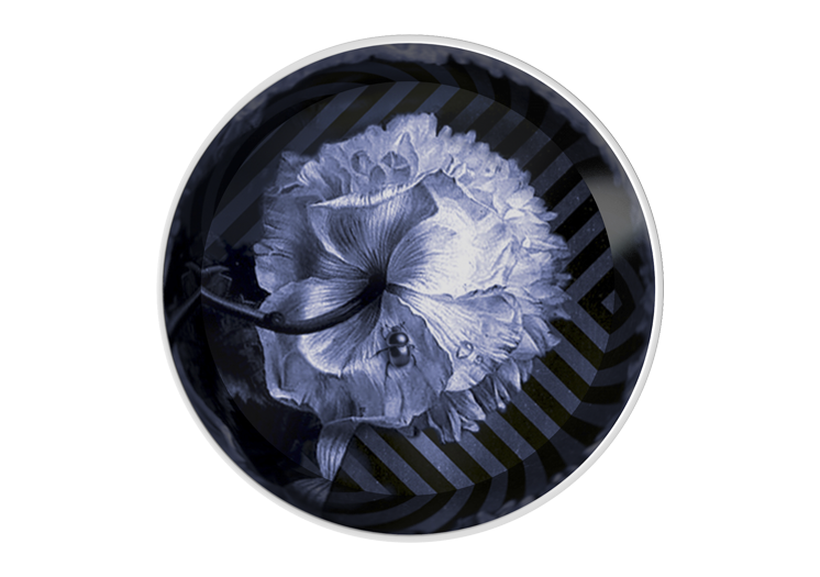 image502e.png