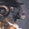 image521e.png