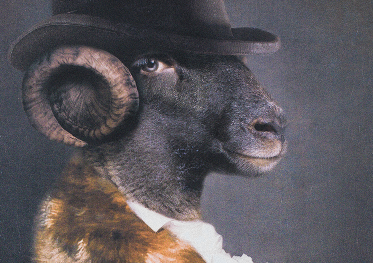 image521e.png