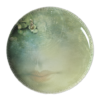 image5315-1.png
