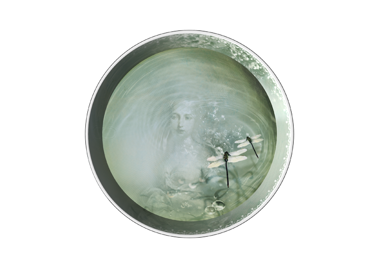 image5315-5.png