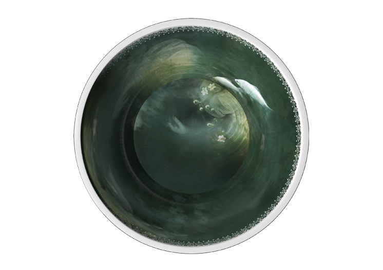 image5315-6.png