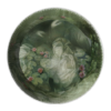 image5315-7.png