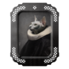 image5a25.png