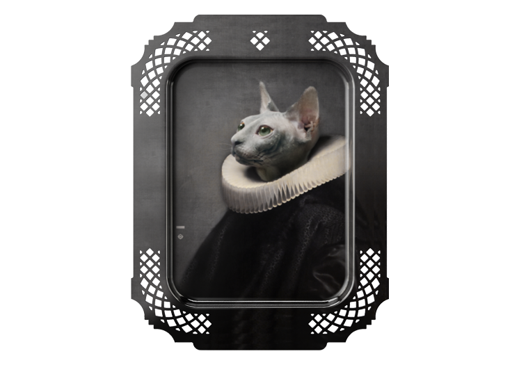 image5a25.png