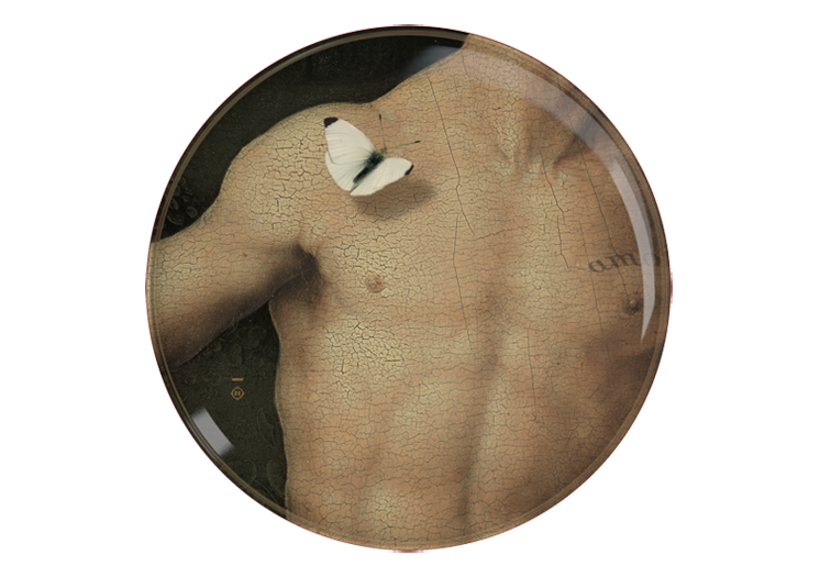 image719b-2.png