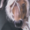 image7380.png