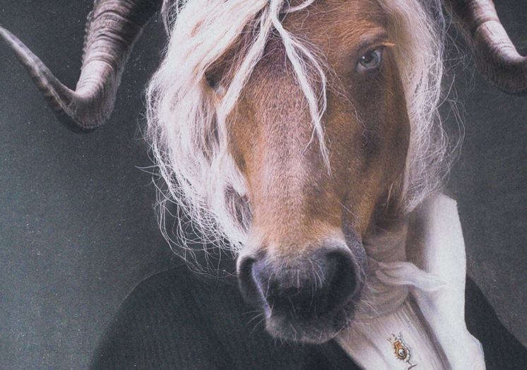image7380.png