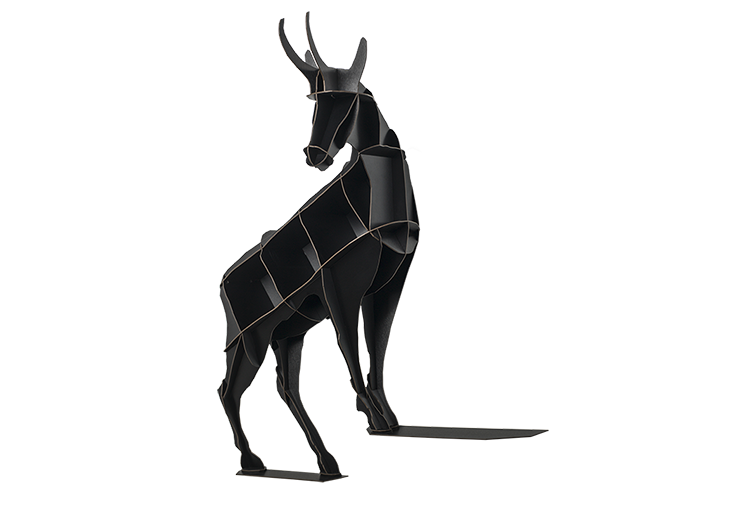 image8537.png