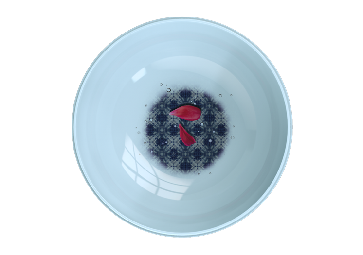 imageab5f-1.png