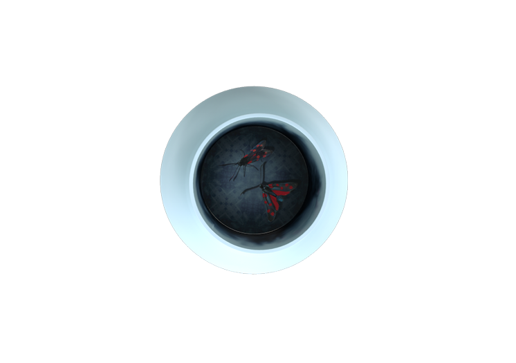 imageab5f-2.png